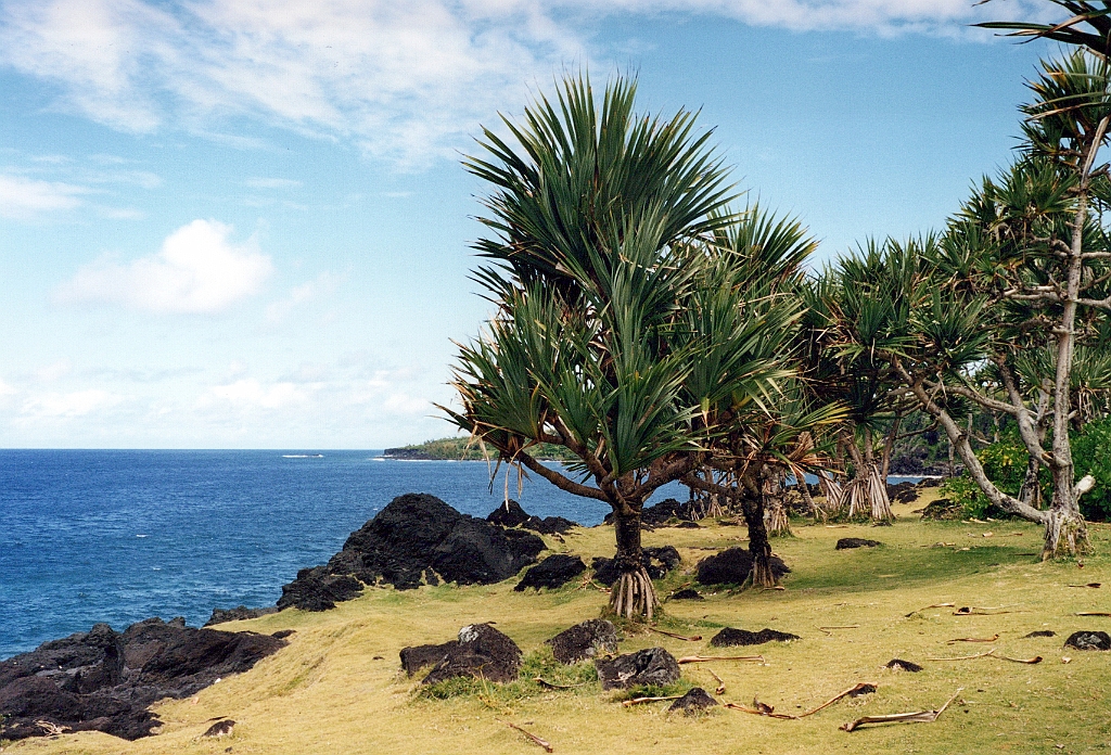 2002 - La Réunion A32.jpg